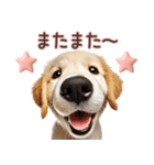 ゴールデンレトリバー子犬☆即返信ラブリー（個別スタンプ：24）