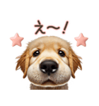 ゴールデンレトリバー子犬☆即返信ラブリー（個別スタンプ：25）
