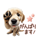 ゴールデンレトリバー子犬☆即返信ラブリー（個別スタンプ：29）