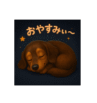 ダックスは正義II（個別スタンプ：8）
