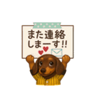ダックスは正義II（個別スタンプ：15）