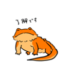 ゆるいフトアゴ（個別スタンプ：11）