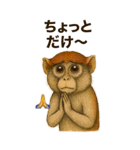 パタスモンキーのひょうきん便り（個別スタンプ：4）