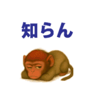 パタスモンキーのひょうきん便り（個別スタンプ：16）