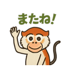 元気モリモリ！パタスモンキー（個別スタンプ：5）