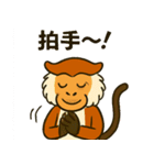 パタスモンキーの毎日スタンプ（個別スタンプ：5）