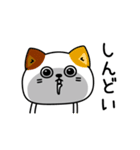 ねこ依存毎日使える挨拶（個別スタンプ：3）