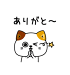 ねこ依存毎日使える挨拶（個別スタンプ：6）