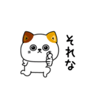 ねこ依存毎日使える挨拶（個別スタンプ：12）