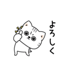 ねこ依存毎日使える挨拶（個別スタンプ：13）