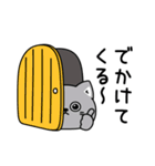 ねこ依存毎日使える挨拶（個別スタンプ：17）