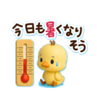 ずっと使える♡3D ひよこの夏（個別スタンプ：17）