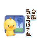 ずっと使える♡3D ひよこの夏（個別スタンプ：24）