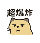 猫ゴミ日記（個別スタンプ：13）