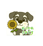 シュナの日常。動くバージョン②♪（個別スタンプ：13）