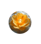 癒しのスタンプ.宝石.花.舟.木.扉.Jewelry（個別スタンプ：4）