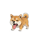 【暑さでバテてる犬 1】（個別スタンプ：2）
