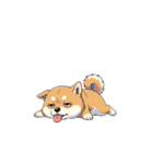 【暑さでバテてる犬 1】（個別スタンプ：4）