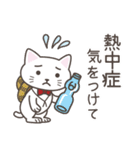 ねこたろ☆毎年使える夏スタンプ（個別スタンプ：9）