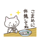 ねこたろ☆毎年使える夏スタンプ（個別スタンプ：10）