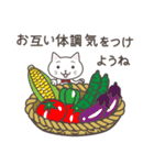 ねこたろ☆毎年使える夏スタンプ（個別スタンプ：11）