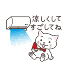 ねこたろ☆毎年使える夏スタンプ（個別スタンプ：12）