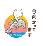 ねこたろ☆毎年使える夏スタンプ（個別スタンプ：20）