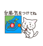 ねこたろ☆毎年使える夏スタンプ（個別スタンプ：22）
