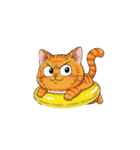 【浮き輪猫】（個別スタンプ：4）