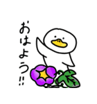アヒルの夏休み（個別スタンプ：1）