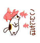 和風猫＜夏です2＞（個別スタンプ：2）