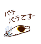 和風猫＜夏です2＞（個別スタンプ：9）