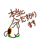 和風猫＜夏です2＞（個別スタンプ：16）