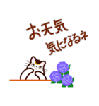 和風猫＜夏です2＞（個別スタンプ：17）