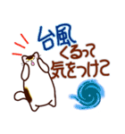 和風猫＜夏です2＞（個別スタンプ：19）