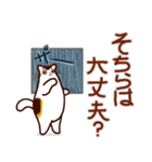 和風猫＜夏です2＞（個別スタンプ：20）