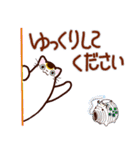 和風猫＜夏です2＞（個別スタンプ：28）