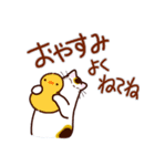 和風猫＜夏です2＞（個別スタンプ：36）