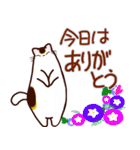 和風猫＜夏です2＞（個別スタンプ：38）