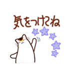 和風猫＜夏です2＞（個別スタンプ：40）