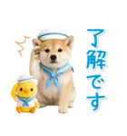 癒し柴犬の「夏」の毎日（個別スタンプ：7）