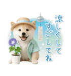 癒し柴犬の「夏」の毎日（個別スタンプ：11）