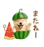 癒し柴犬の「夏」の毎日（個別スタンプ：22）