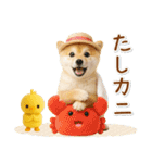 癒し柴犬の「夏」の毎日（個別スタンプ：32）