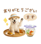 癒し柴犬の「夏」の毎日（個別スタンプ：33）