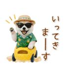 癒し柴犬の「夏」の毎日（個別スタンプ：37）