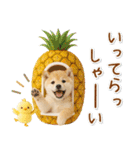 癒し柴犬の「夏」の毎日（個別スタンプ：38）