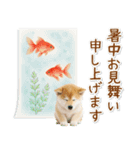 癒し柴犬の「夏」の毎日（個別スタンプ：39）
