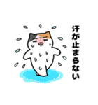 夏のミケネコ（個別スタンプ：8）