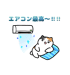 夏のミケネコ（個別スタンプ：16）